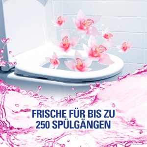 de-AT-raejhur5flcdjyl9bq6m.jpg